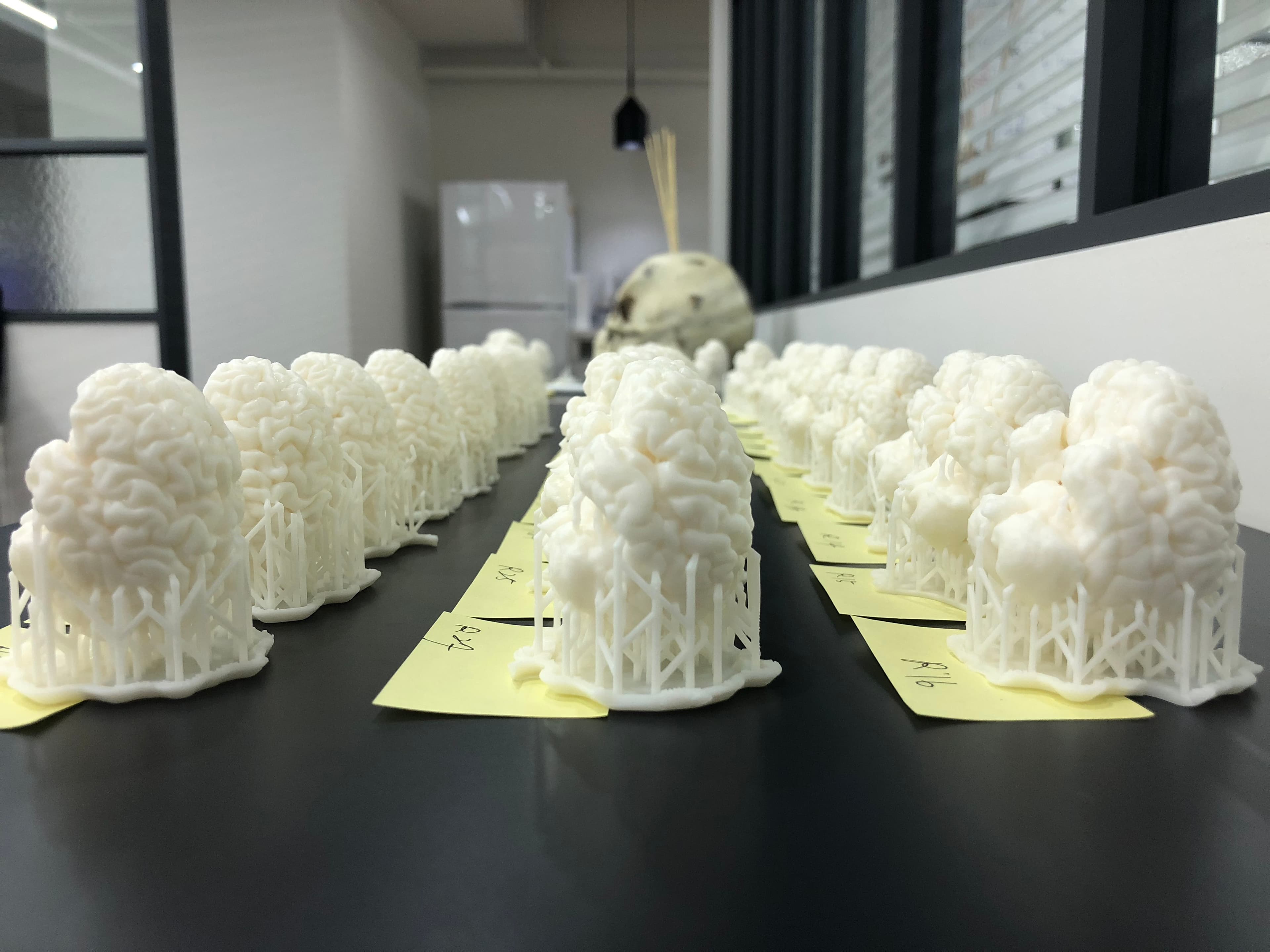 2018년 뇌 3D 프린팅 실물 — 작업·전시 장면 1