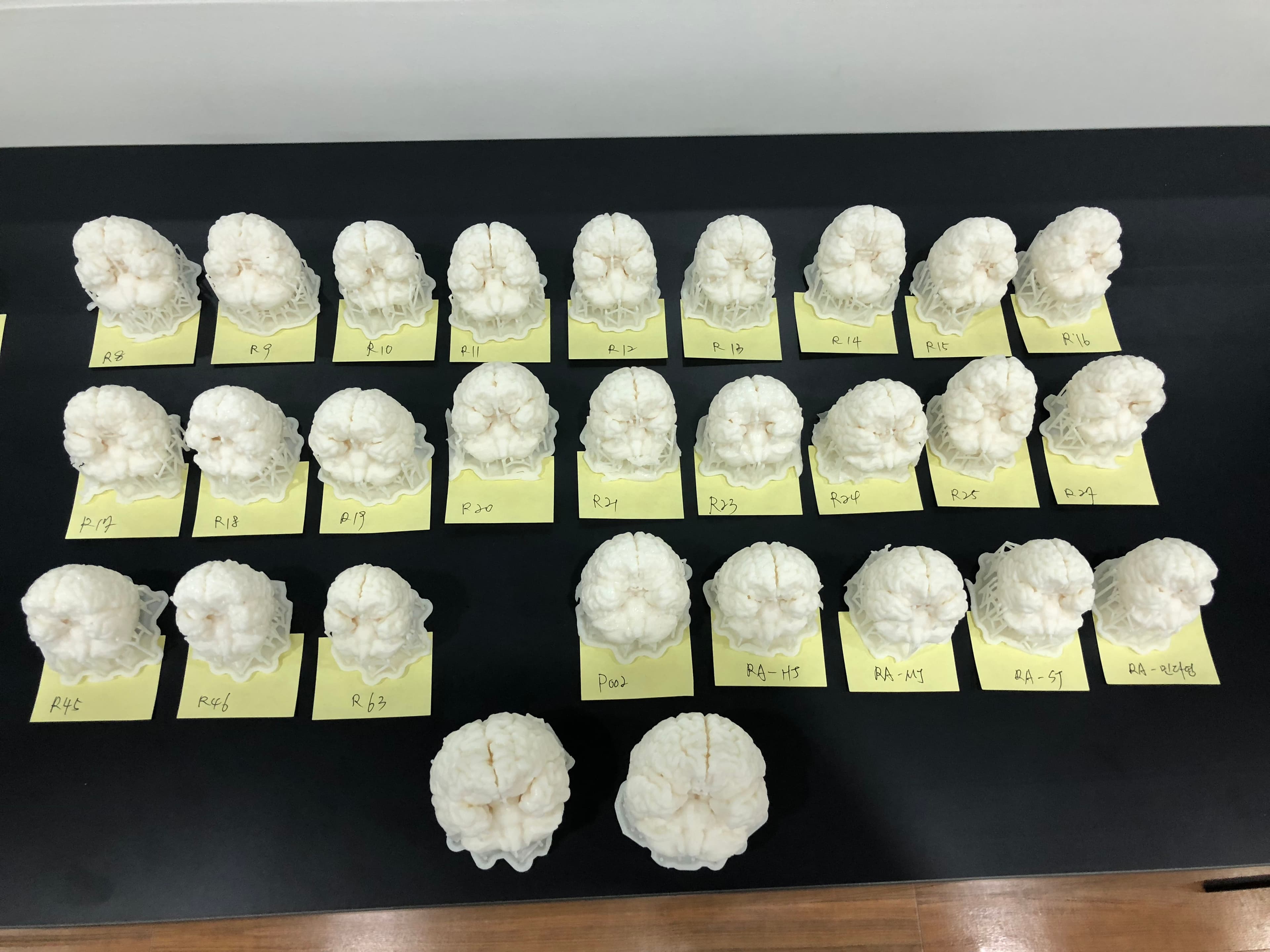 2018년 뇌 3D 프린팅 실물 — 작업·전시 장면 2