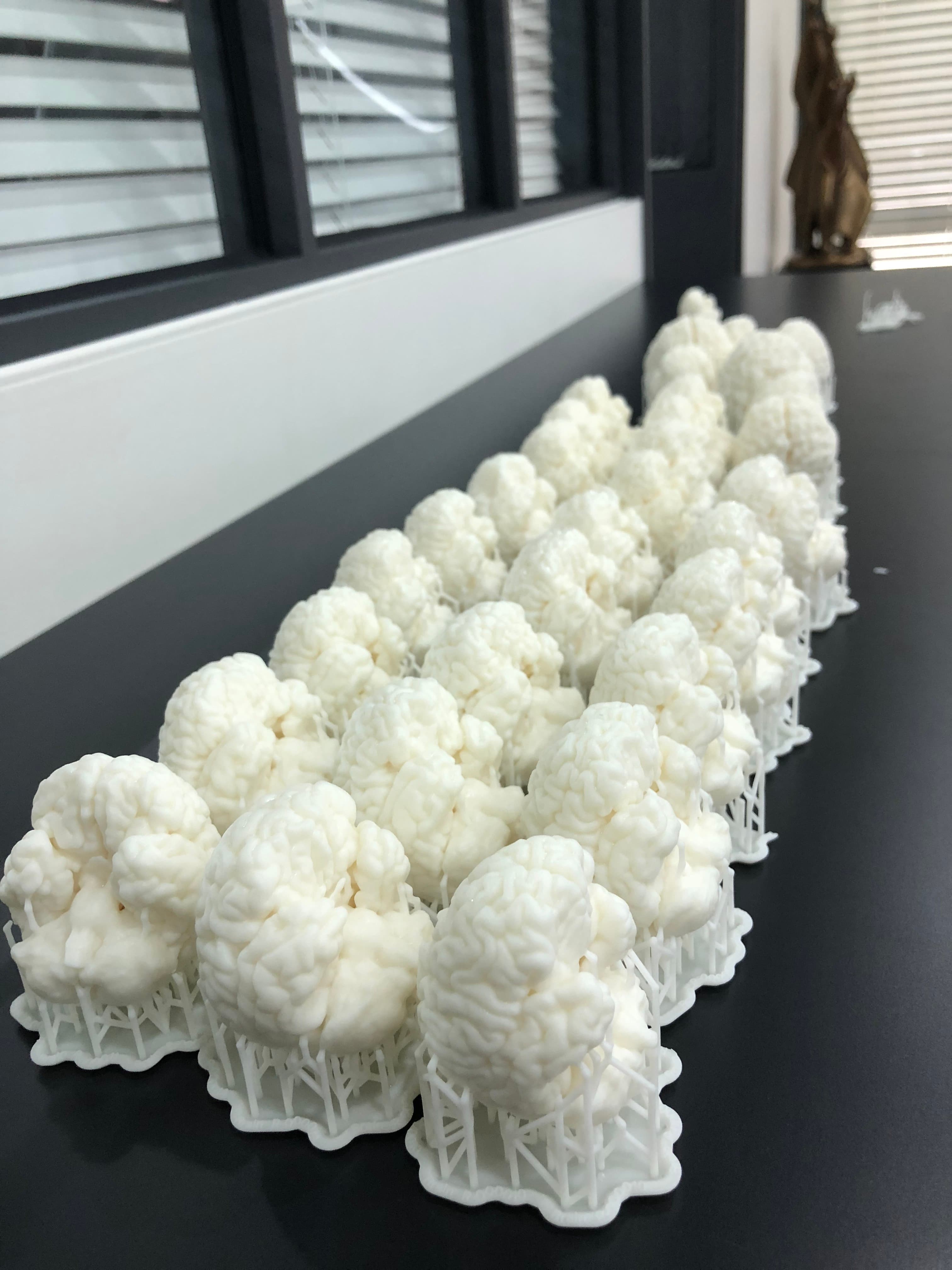 2018년 뇌 3D 프린팅 실물 — 작업·전시 장면 3